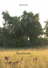 Buschbriefe - Fischer Julia - ebook