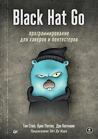 Black Hat Go: Программирование для хакеров и пентестеров - Том Стил - ebook