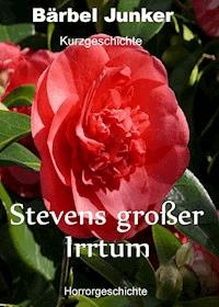 Stevens großer Irrtum - Bärbel Junker - ebook