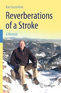 Reverberations of a Stroke - Karl Gustafson - ebook