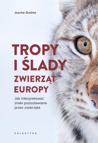 Tropy i ślady zwierząt Europy - Grolms Joscha - książka