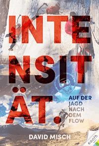 Intensität - David Misch - ebook
