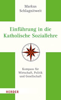 Einführung in die Katholische Soziallehre - Markus Schlagnitweit - ebook