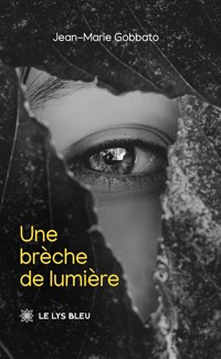 Une brèche de lumière - Jean-Marie Gobbato - ebook