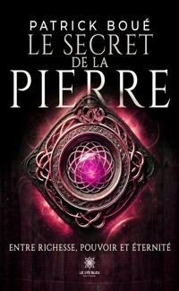 Le secret de la pierre - Patrick Boué - ebook