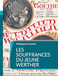 Les Souffrances du jeune Werther - Wolfgang von Goethe - ebook