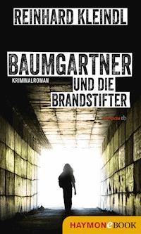 Baumgartner und die Brandstifter - Reinhard Kleindl - ebook