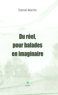Du réel, pour balades en imaginaire - Daniel Martin - ebook