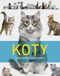 Koty. Ilustrowany przewodnik - zbiorowa praca - książka