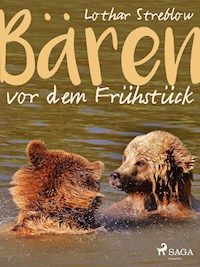 Bären vor dem Frühstück - Erzählungen - Lothar Streblow - ebook