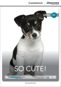 So Cute! Beginning Book with Online Access - Bourke Kenna - książka