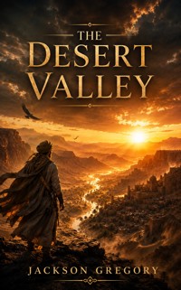 The Desert Valley - Jackson Gregory - ebook
