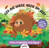 Czy już wiesz gdzie śpi jeż? Kto mieszka na łące - Huisman Fiona - książka