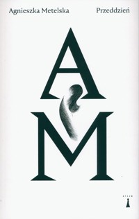 Przeddzień - Agnieszka Metelska - książka