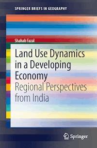 Land Use Dynamics in a Developing Economy - Shahab Fazal - ebook
