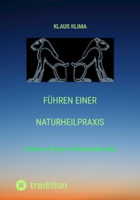 Führen einer Naturheilpraxis - Klaus Klima - ebook