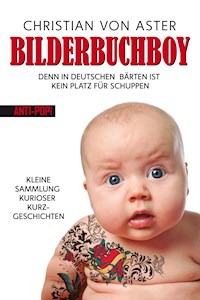 Bilderbuchboy - Christian von Aster - ebook