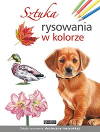 Sztuka rysowania w kolorze -  - książka