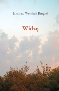 Widzę - Burgieł Jarosław Wojciech - książka