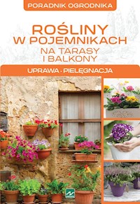 Rośliny w pojemnikach - Mazik Michał - książka