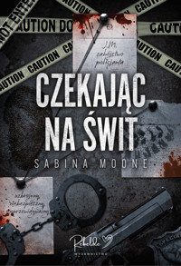 Czekając na świt - Moone Sabina - ebook + audiobook