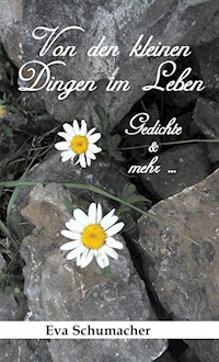 Von den kleinen Dingen im Leben - Eva Schumacher - ebook
