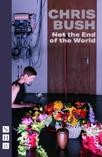 (Not) the End of the World - Chris Bush - ebook