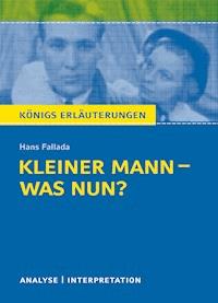 Kleiner Mann – was nun? - Hans Fallada - ebook