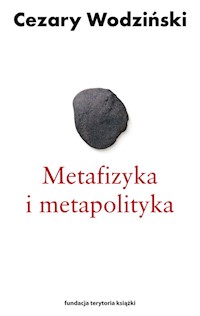 Metafizyka i metapolityka Czarne zeszyty Heideggera - Wodziński Cezary - książka