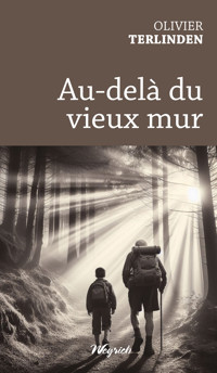 Au-delà du vieux mur - Olivier Terlinden - ebook