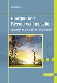 Energie- und Ressourceninnovation - Janet Nagel - ebook