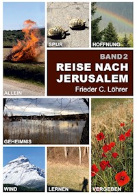 Reise nach Jerusalem - Frieder C. Löhrer - ebook
