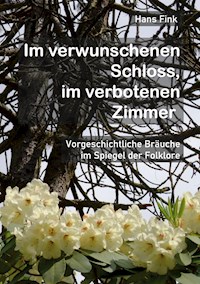 Im verwunschenen Schloss, im verbotenen Zimmer - Hans Fink - ebook