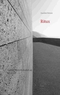 Ritux - Joachim Strienz - ebook