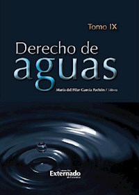 Derecho de Aguas - Gloria Lucía Álvarez Pinzón - ebook