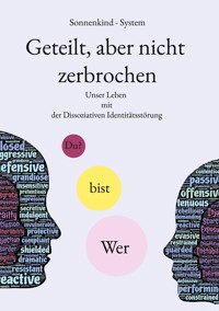 Geteilt, aber nicht zerbrochen - Sonnenkind System - ebook
