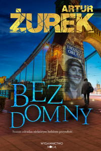 Bezdomny - Żurek Artur - ebook + audiobook + książka