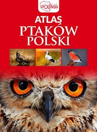 Atlas ptaków Polski - Przybyłowicz Anna, Przybyłowicz Łukasz - książka