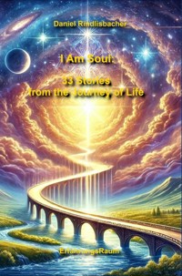I Am Soul: 33 Stories from the Journey of Life - Daniel Rindlisbacher - ebook