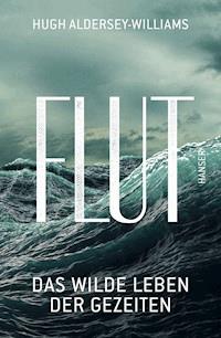 Flut - Hugh Aldersey-Williams - ebook