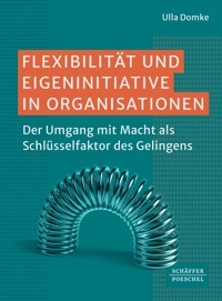 Flexibilität und Eigeninitiative in Organisationen - Ulla Domke - ebook