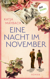 Eine Nacht im November - Katja Maybach - ebook