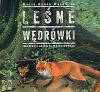 Leśne wędrówki - Maria Dunin-Wąsowicz - książka