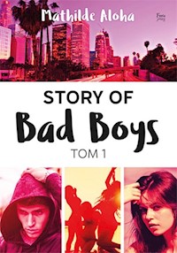 Story of Bad Boys Tom 1 - Mathilde Aloha - książka