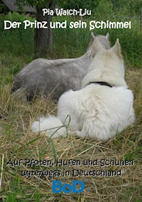 Der Prinz und sein Schimmel - Pia Walch-Liu - ebook