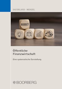 Öffentliche Finanzwirtschaft - Thomas Sauerland - ebook