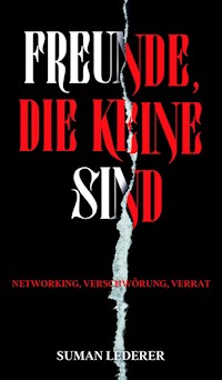 FREUNDE, DIE KEINE SIND - Suman Lederer - ebook