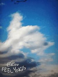 SENKRECHTLÄUFER=auf_mein_KOMMANDO ! - Chev FEELYNGS - ebook