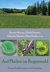 Auf Pfaden im Regenwald - Kerstin Werner - ebook