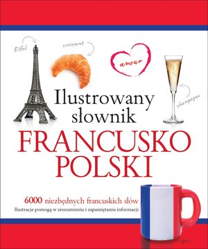 Ilustrowany słownik francusko-polski - Tadeusz Woźniak - książka